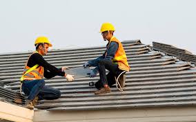 Best Roof Maintenance and Cleaning  in West Long Branch, NJ